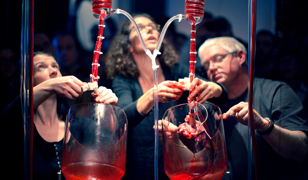 "Oscillator," an exhibition at Dublin's Science Gallery, launched in 2012 with a performance involving the reanimation of two freshly disembodied pig hearts obtained from animals used for meat. Credit: sciencegallery.com