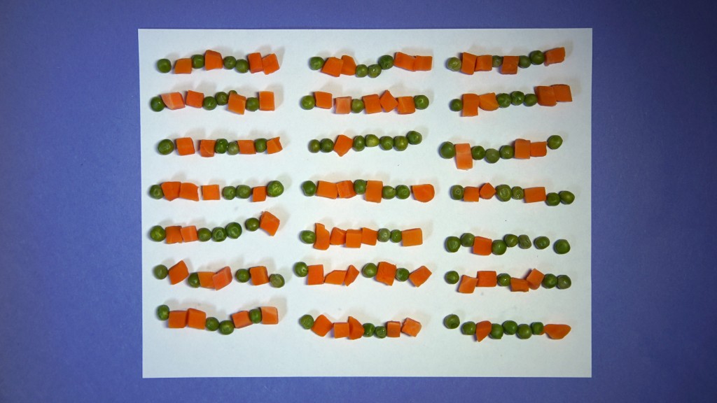 "Science Friday Rules!" written in binary using peas (0) and carrots (1)