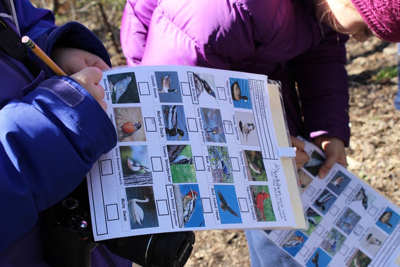 Students mark birds on a laminated identification guide showing full color photos of common birds.
