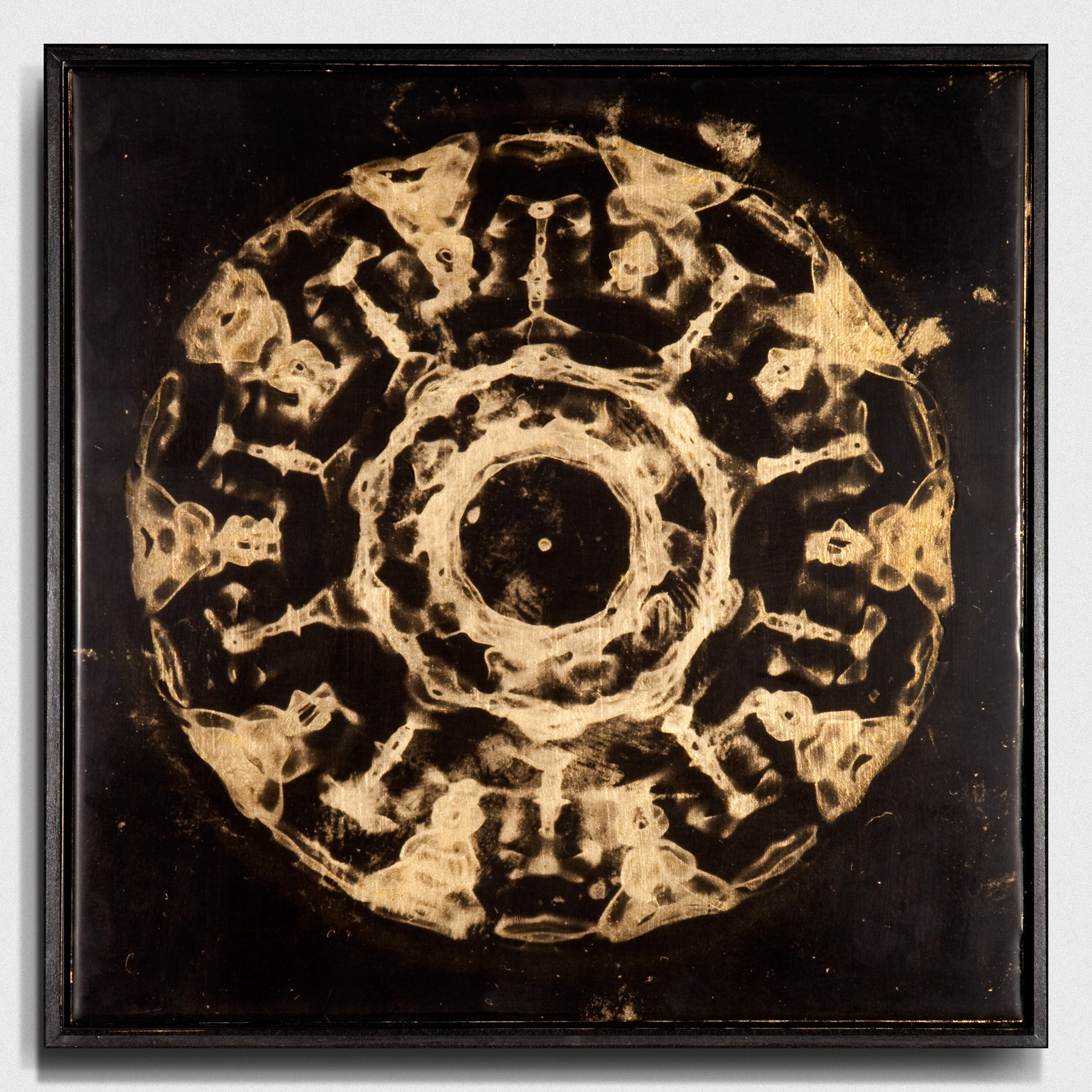 Vibrations of C. Credit: Louviere + Vanessa