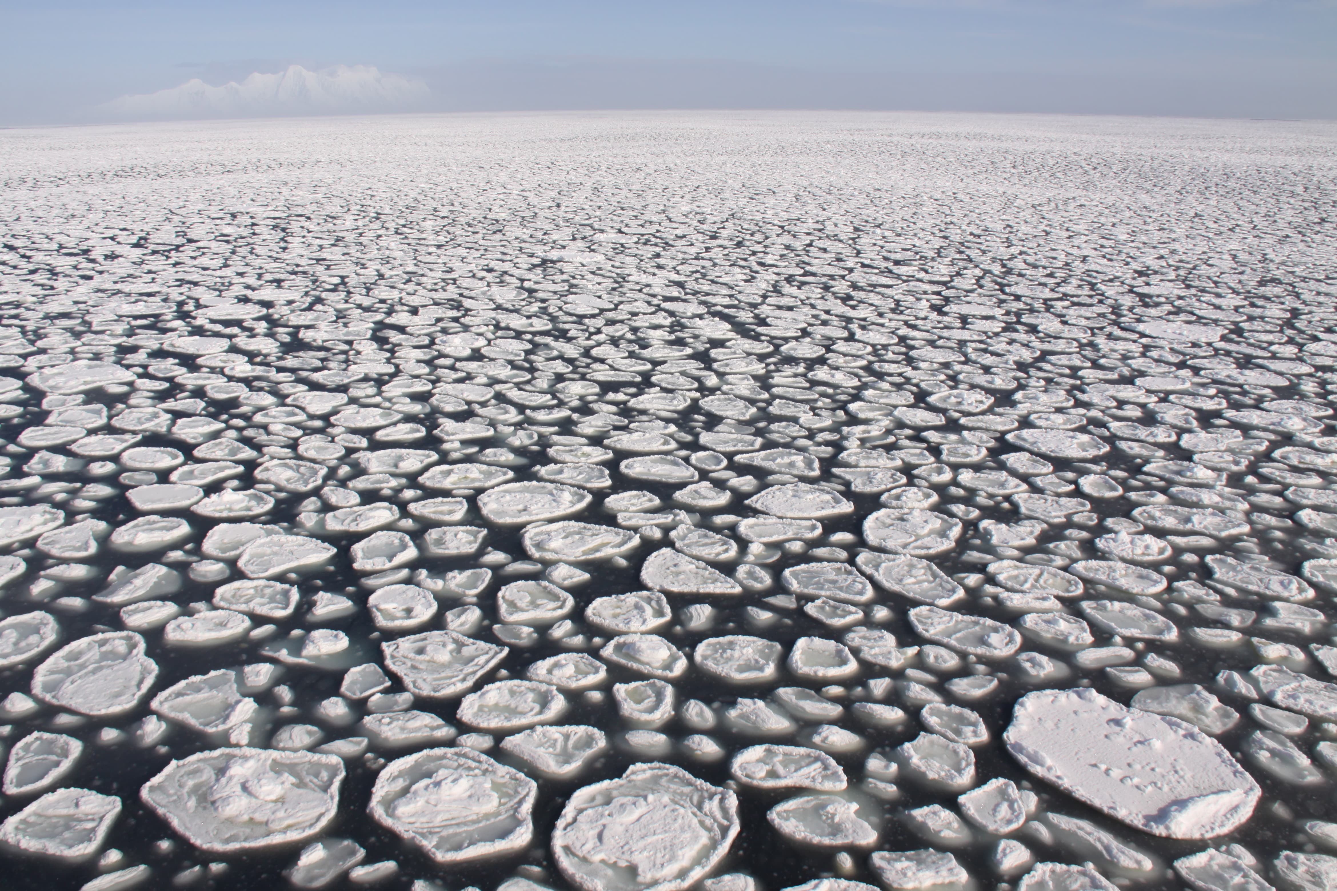 Pancake ice in the Southern Ocean. Credit: Kenneth Mankoff (CC BY-NC-SA 3.0)