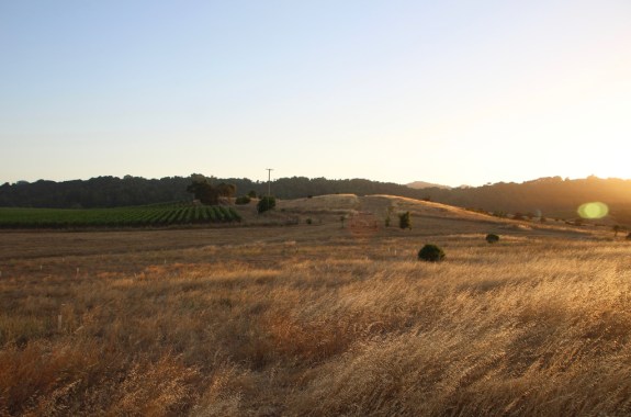 Could Climate Change Really Help Farmers?