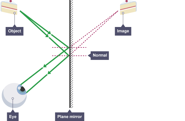 A ray diagram to show how an image forms in a mirror.