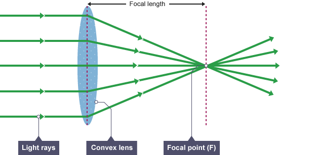 A diagram of light shining through a bulging convex lens, bending as it leaves the lens towards a focal point.