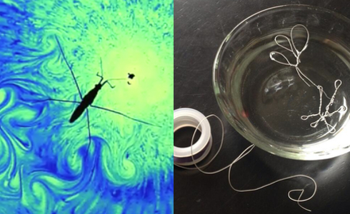 Make A Wire Critter That Can Walk On Water