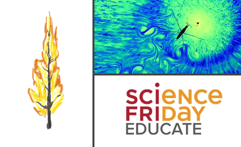 Science Friday Home Science Highlights of 2014
