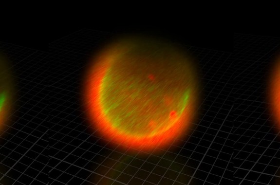 When Egg Meets Sperm, Sparks Fly