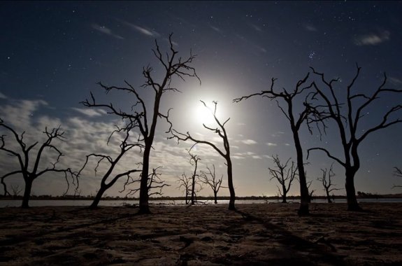 Shooting Stars: Capturing the Night on Camera