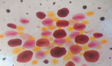 Playing Music Through a Squid