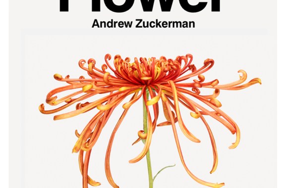 Nothing But ‘Flower’