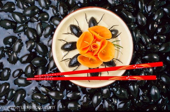 Insects May Be the Taste of the Next Generation, Report Says