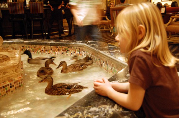 This Math Problem Is Just Ducky