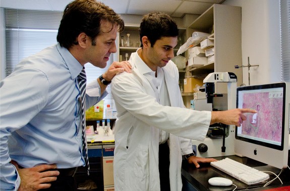 Can White Blood Cells Spread Cancer?