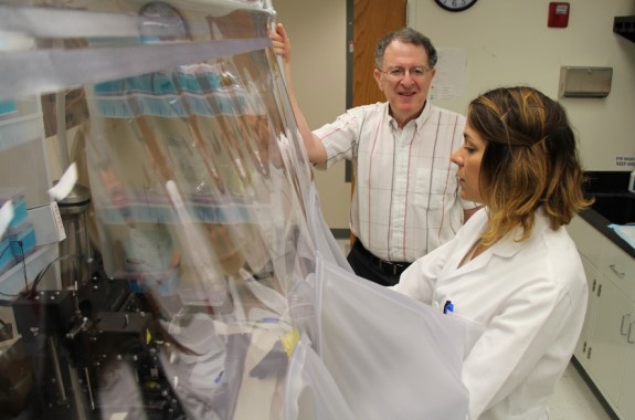 Do Your Gut Bacteria Influence Your Metabolism?