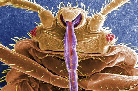 Chemistry Research Roundup