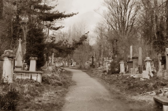 The Real-Life Walking Dead