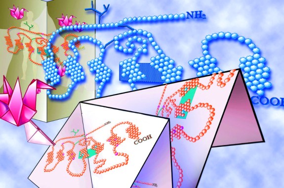 Fixing ‘Misfolded’ Proteins for New Drug Treatments