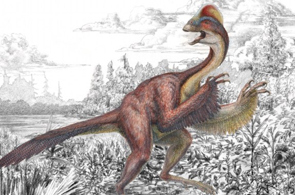 A Bird-Like ‘Chicken From Hell’ Dino Discovery