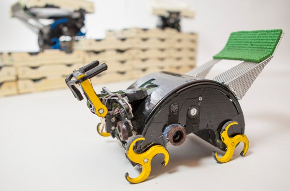 Robot Builders with Bugs for Brains