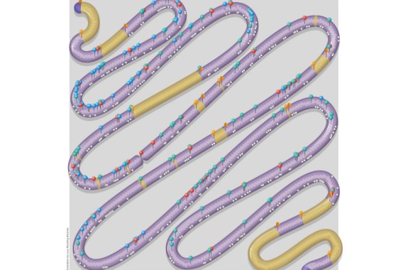 Engineering Life Through Synthetic Biology