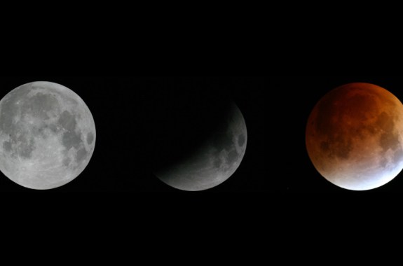 Up Close With the Lunar Eclipse