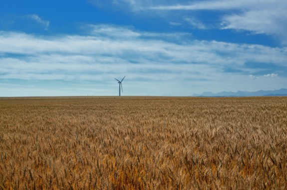 How a Warming Planet Will Change What’s on Your Plate