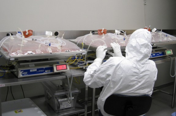 Giving Viruses a License to Kill…Cancer