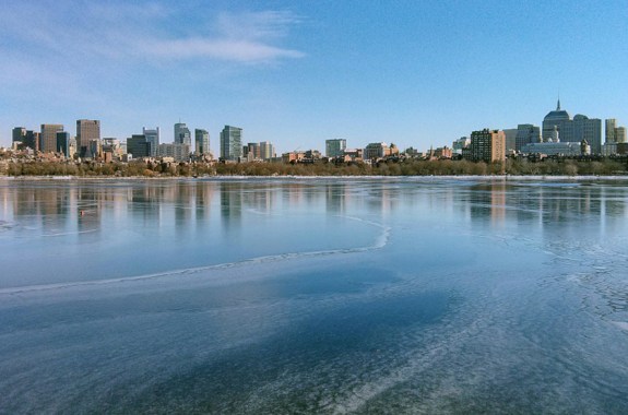 Understanding the Urban Ecosystem