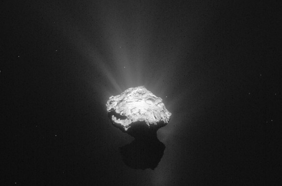 A Cometary Awakening, a Vaccine Mystery, and Brand New Bacteria