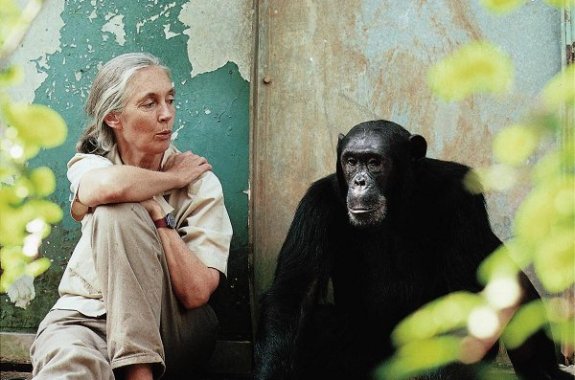 Jane Goodall On The Future Of Evolutionary Science