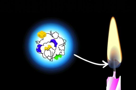 The Winning Answer to a Burning Question