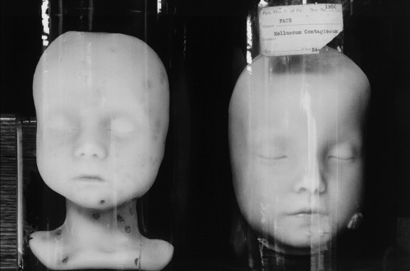 Bones, Books, and Bell Jars