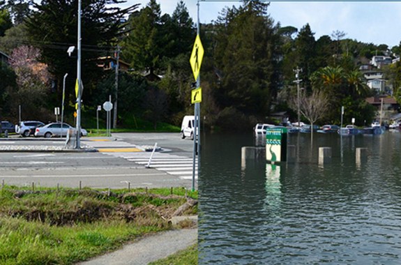 A Device to Visualize Your Climate Change Future