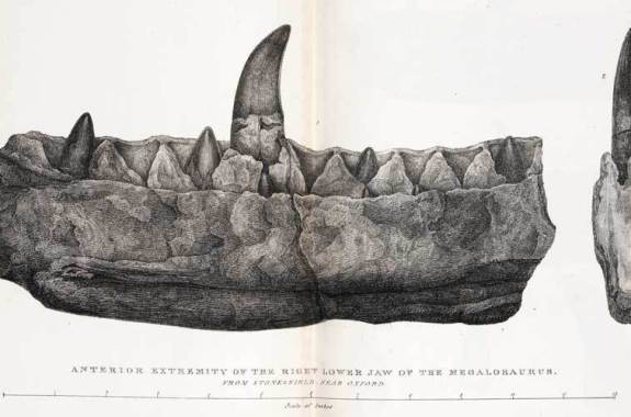 The Origin Of The Word ‘Dinosaur’