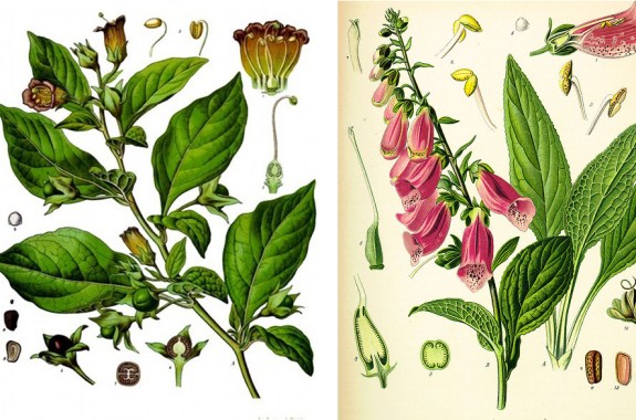 A Is for Arsenic: The Poisons of Agatha Christie