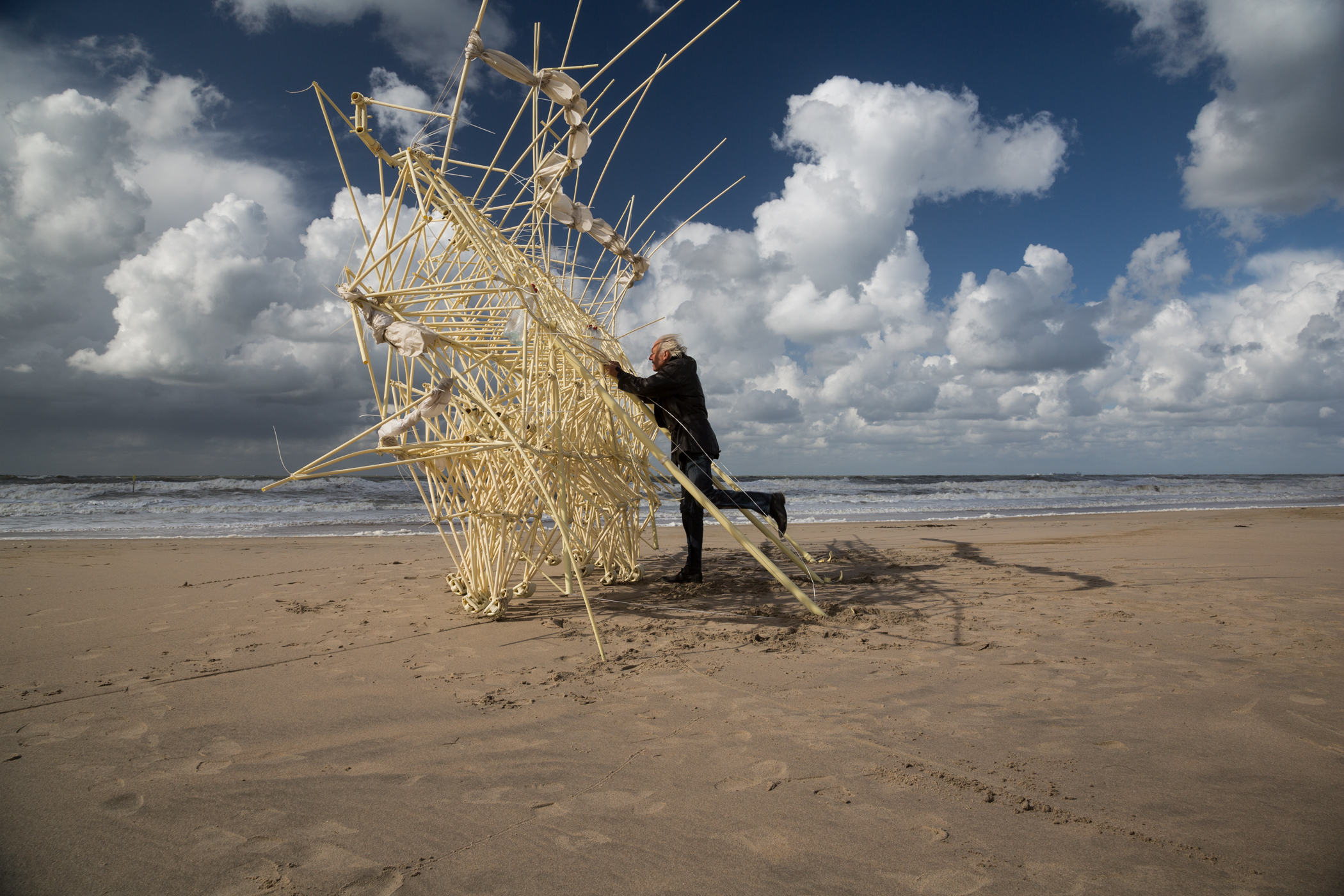 a contraption and artwork made of many different cream colored tubes that is being placed and moved by a man in black on a beach