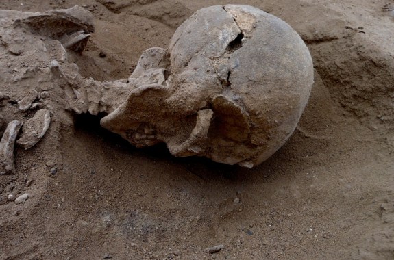 Archaeological Find Points to Ancient Human Violence