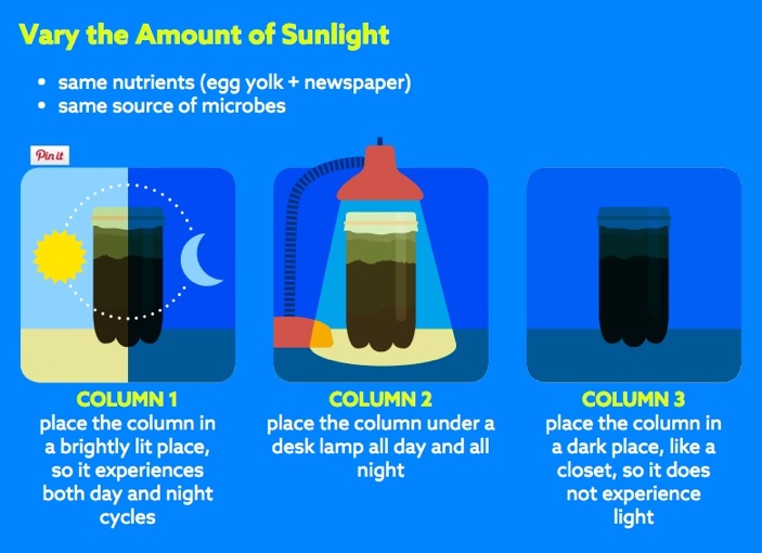 A diagram suggests varying the amount of sunlight for the column. For example, in column one place the column in a brightly lit place so it experiences day and night, in a column two put it under light all day and night, and in column three place it in the dark. It notes that the nutrients and source of microbes should not vary.