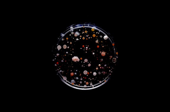 An Artist Swabs the NYC Subway