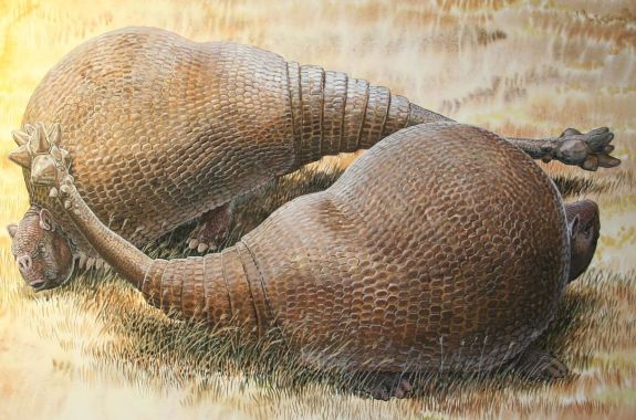 HIV Prevention, Ancient Armadillos, and Direct-to-Consumer Drug Ads