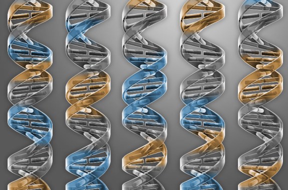 How Many Genes Are Necessary to Create a Living Cell?