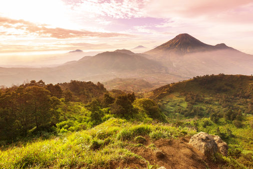 Discussing What Can Be Done About Mass Extinction