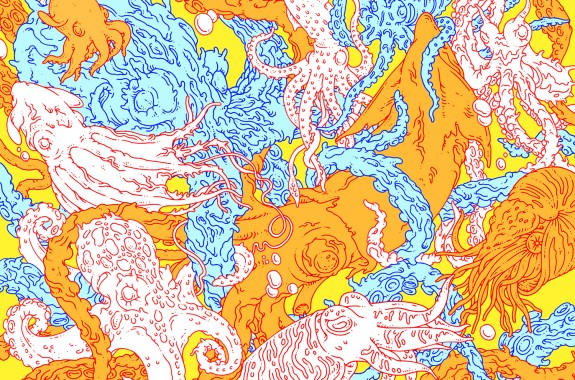 Eight (or More) Reasons to be Amazed by the Octopus