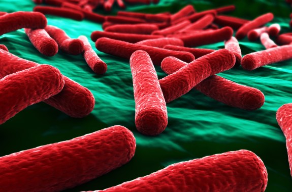 Old Ideas May Help Us Fight New Superbugs