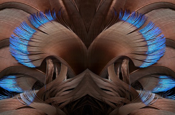 Still Birds Take Flight