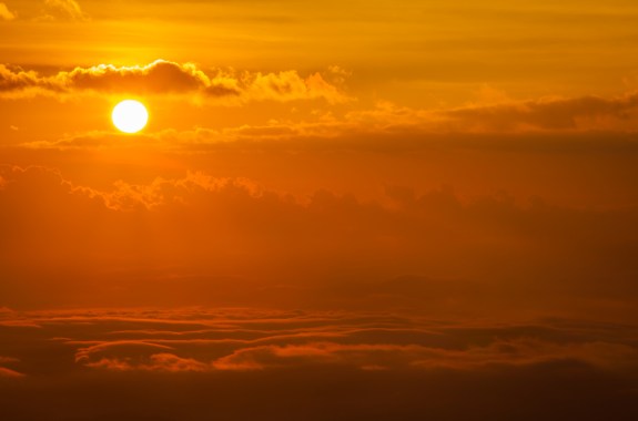 As the Climate Warms, What Toll Will Heatwaves Take?