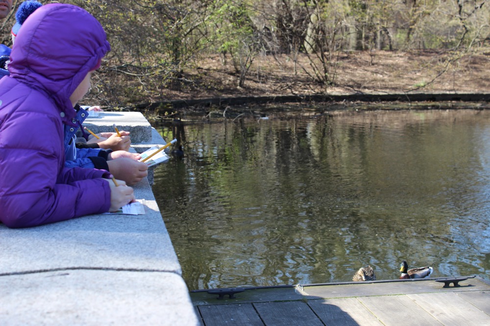 Students near a small lake look watch ducks.
