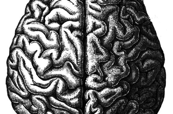 Remembering Henry Molaison, the Man Who Kept Forgetting