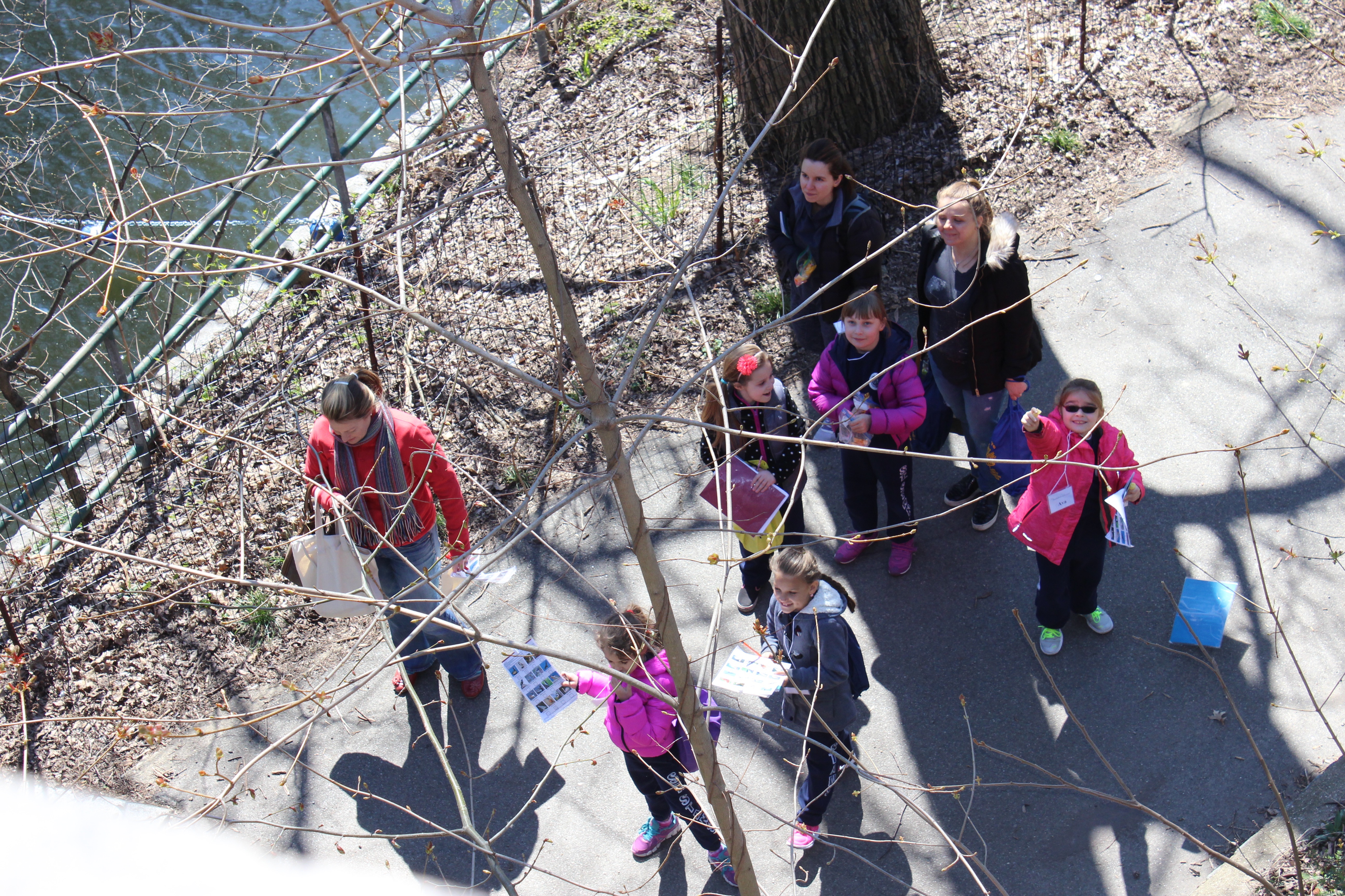 A photo is taken from above, in a tree, of students and their teacher walking on a path in a park.