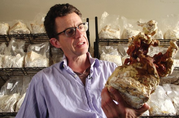 The Fungi in Your Future